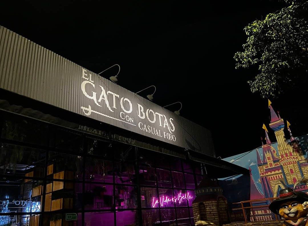 El gato con botas